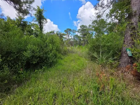 4863 Meadow Green Road Mims FL 32754