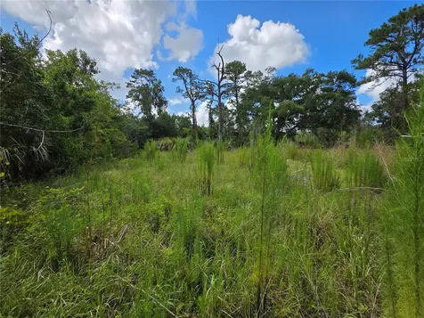 4863 Meadow Green Road Mims FL 32754
