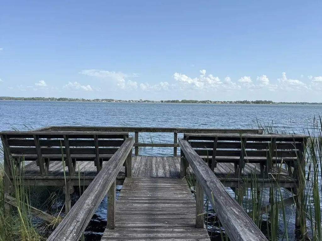 2662 Mcdonald Terrace Mount Dora FL 32757