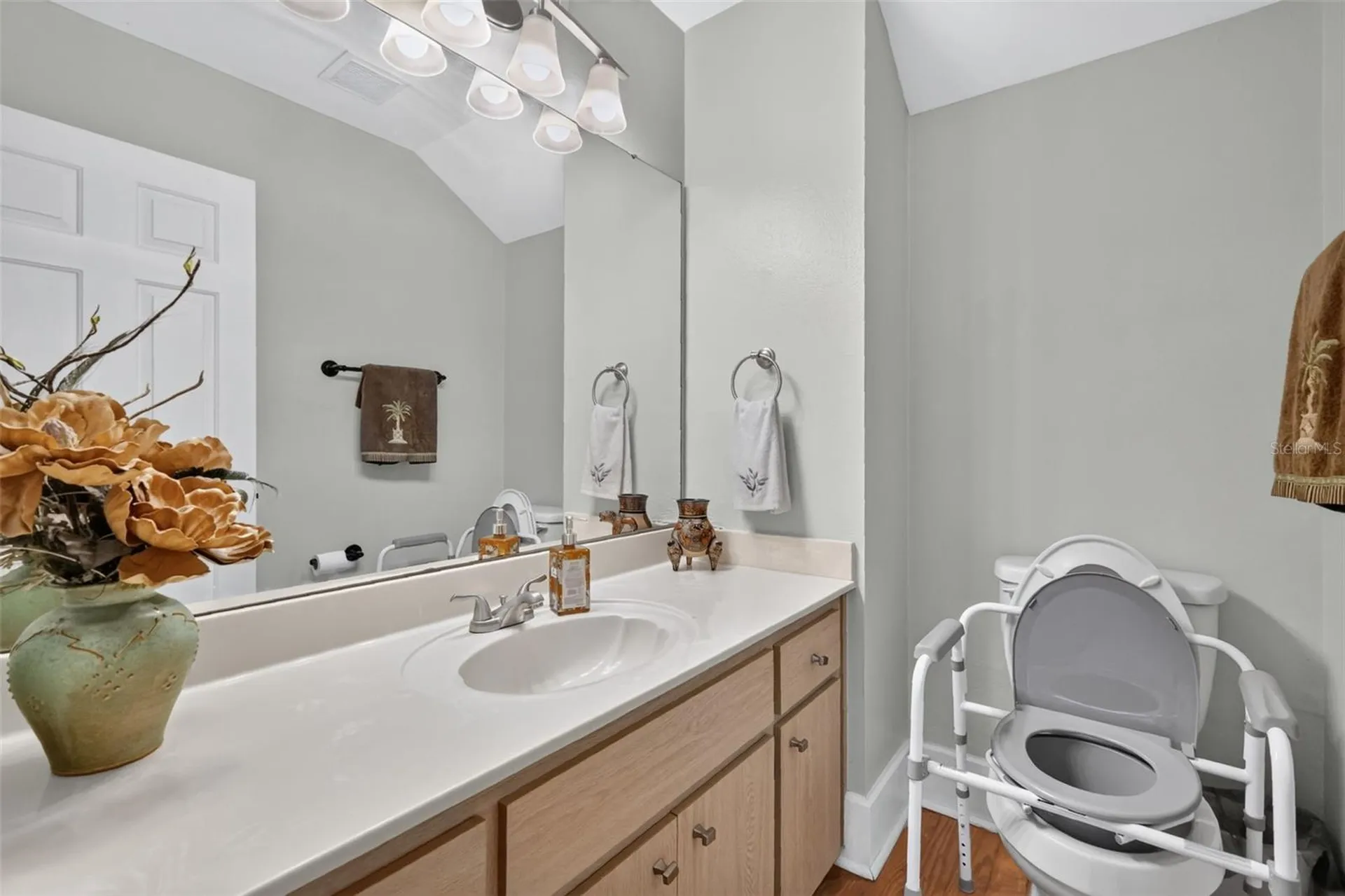 2662 Mcdonald Terrace Mount Dora FL 32757