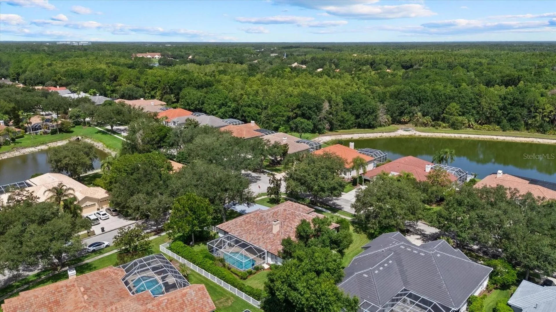 9145 Highland Ridge Way Tampa FL 33647
