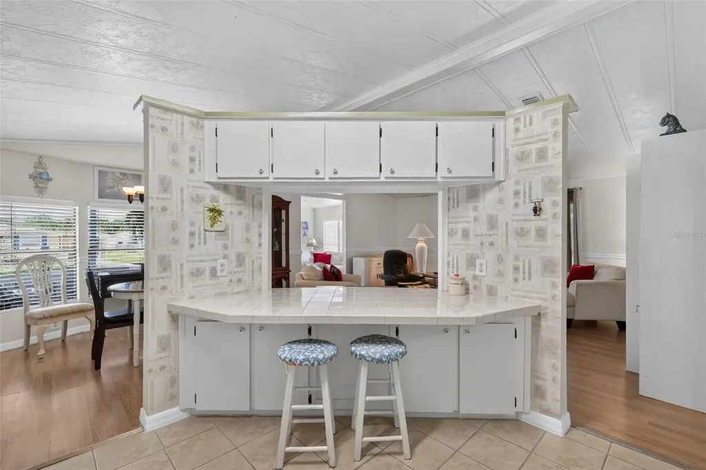 724 Jason Drive The Villages FL 32159