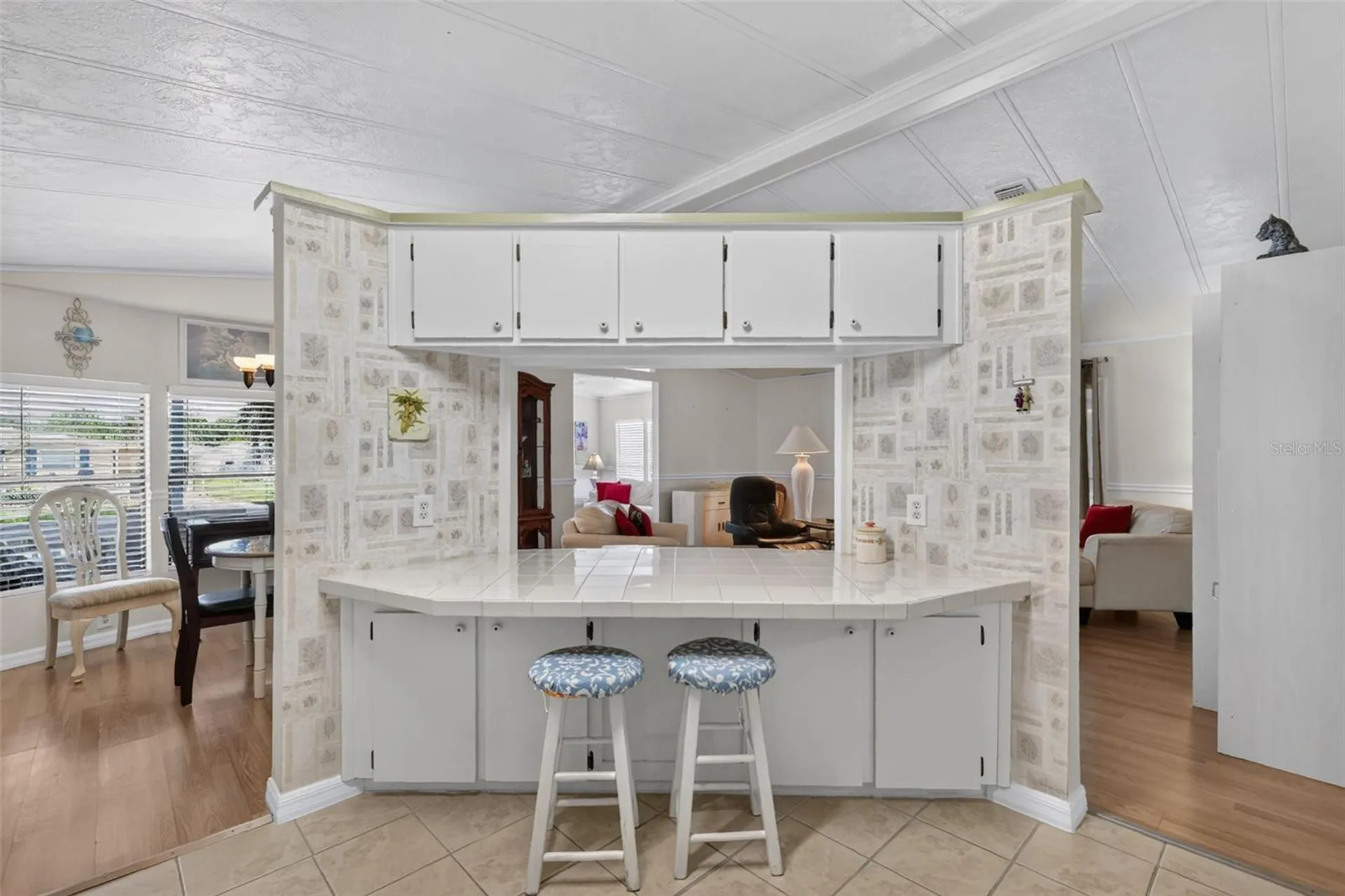 724 Jason Drive The Villages FL 32159