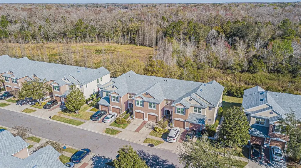 26613 Castleview Way Wesley Chapel FL 33544
