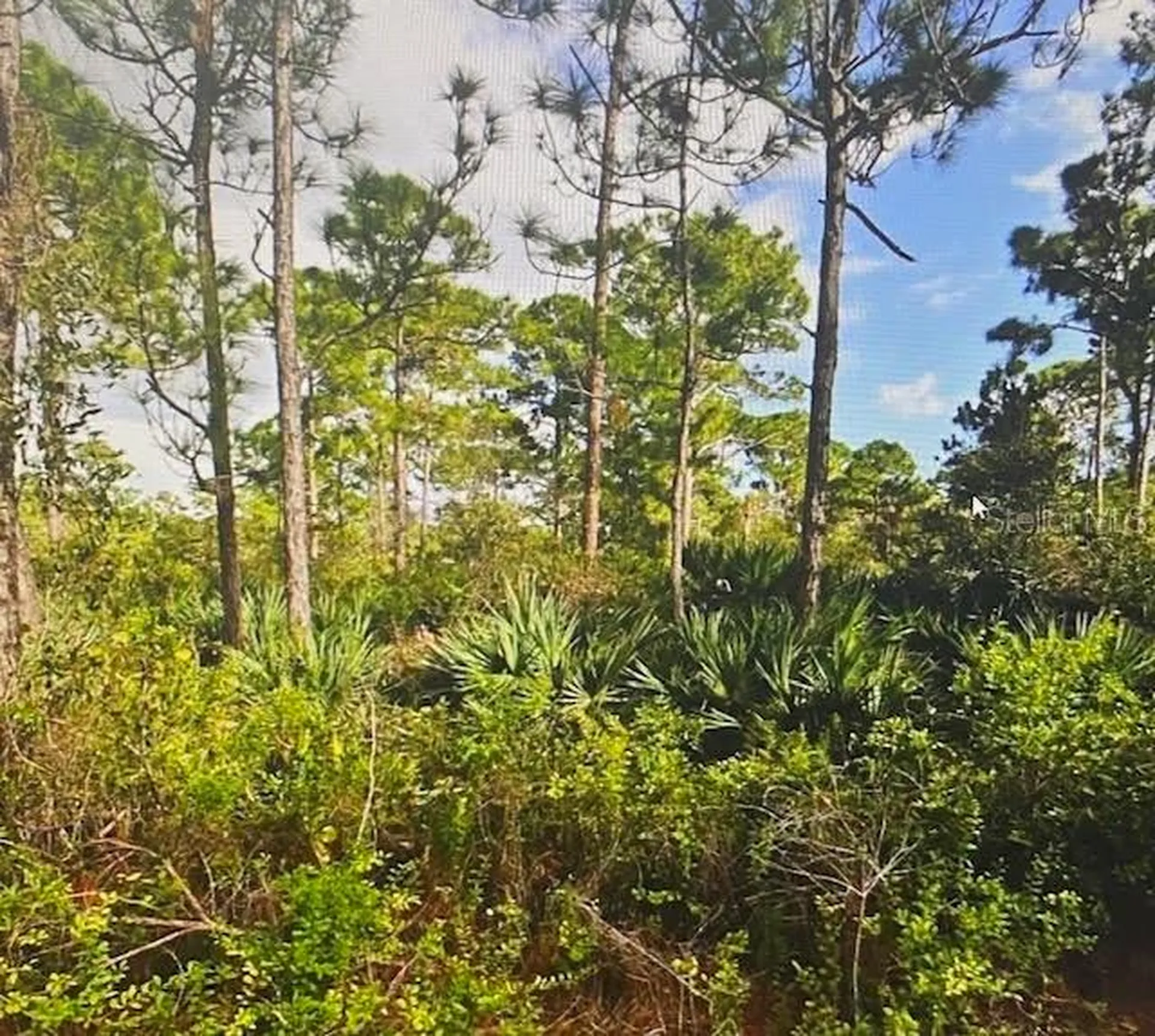 5550 Tree Top Trail Fort Pierce FL 34951