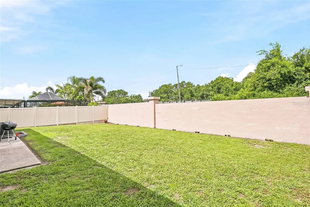 11026 Streamside Drive Tampa FL 33624