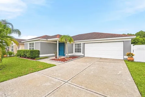 11026 Streamside Drive Tampa FL 33624