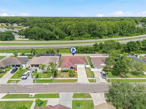 11026 Streamside Drive Tampa FL 33624