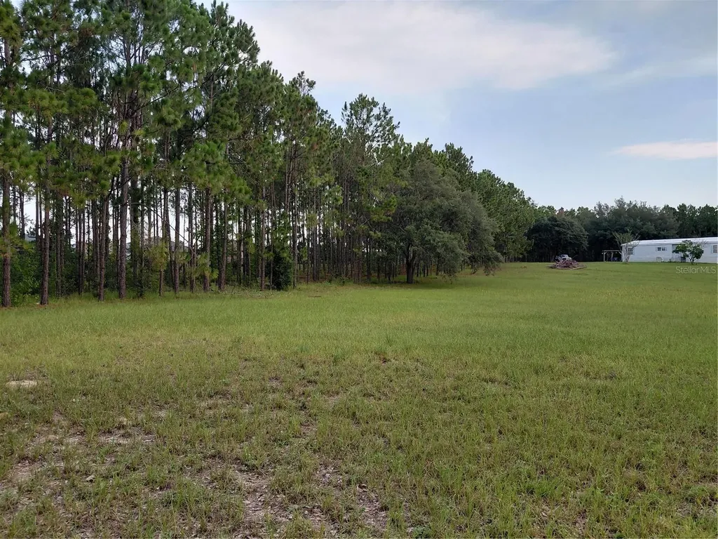 14240 Lost Lake Road Clermont FL 34711