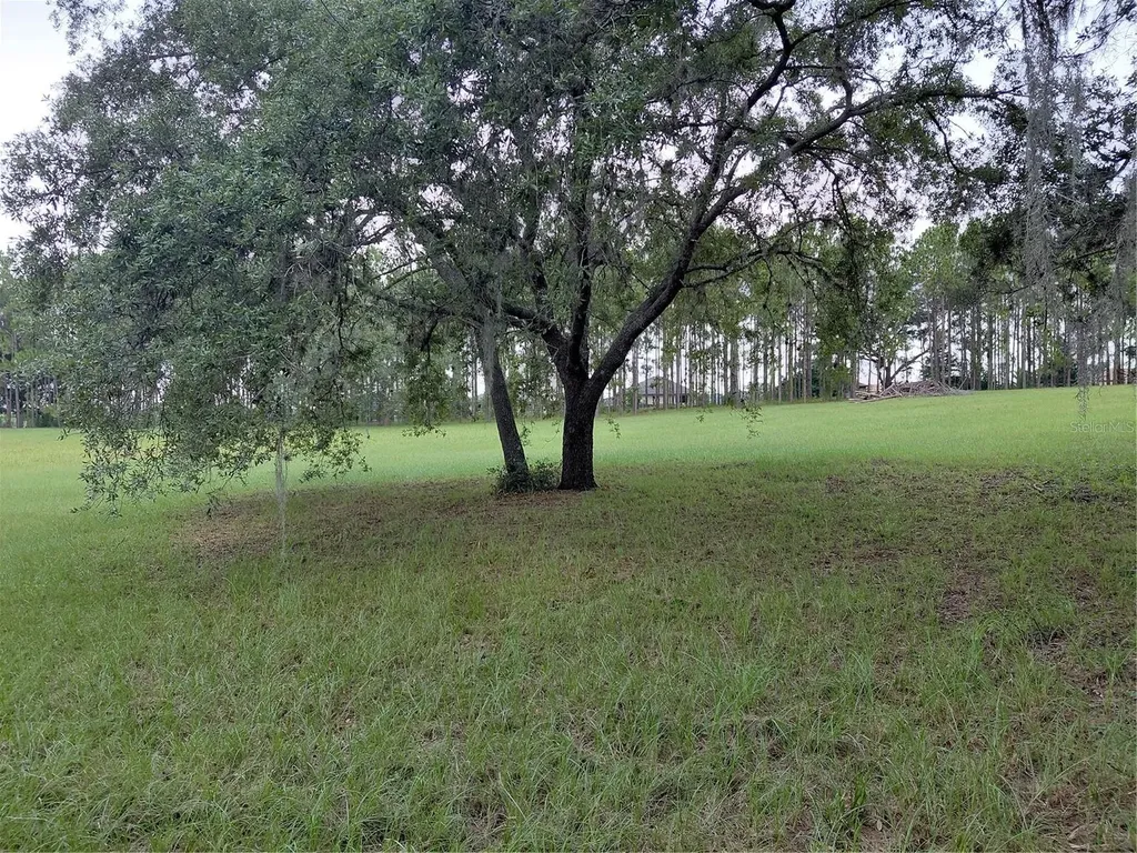 14240 Lost Lake Road Clermont FL 34711