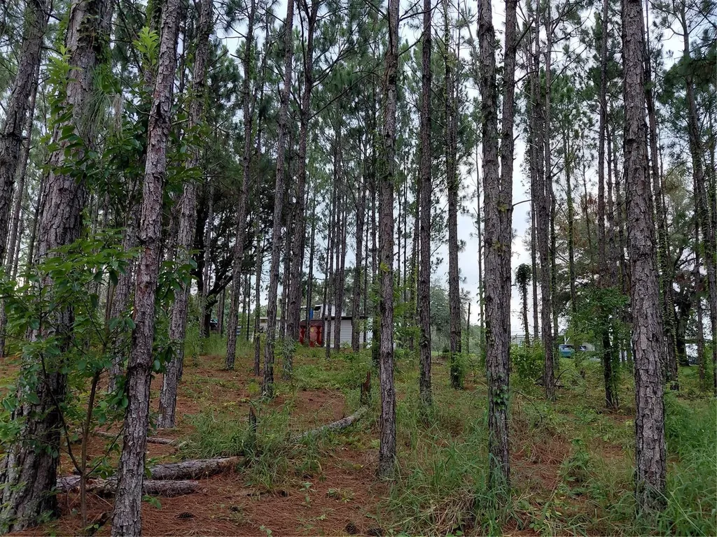 14240 Lost Lake Road Clermont FL 34711