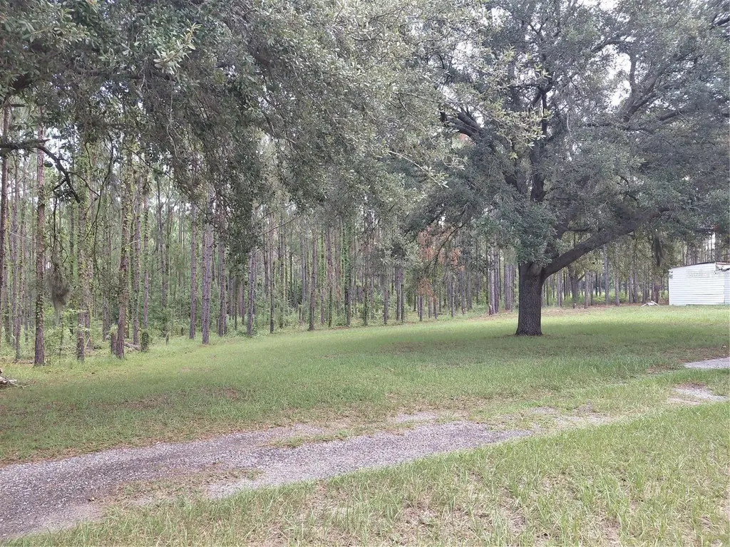 14240 Lost Lake Road Clermont FL 34711