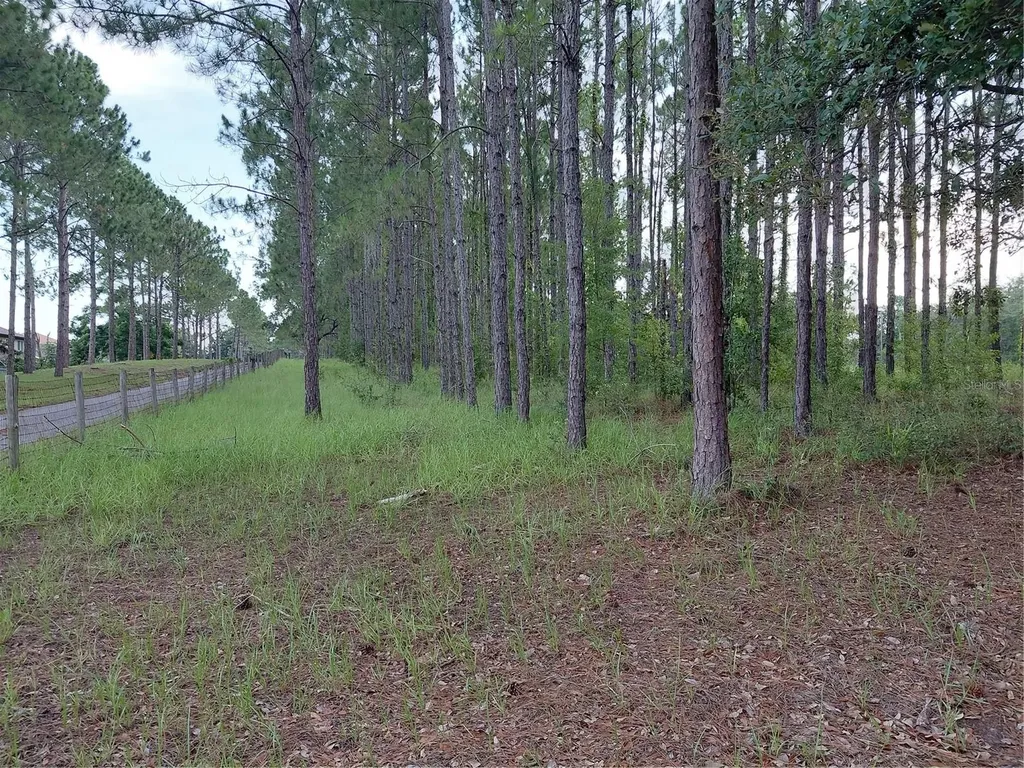 14240 Lost Lake Road Clermont FL 34711