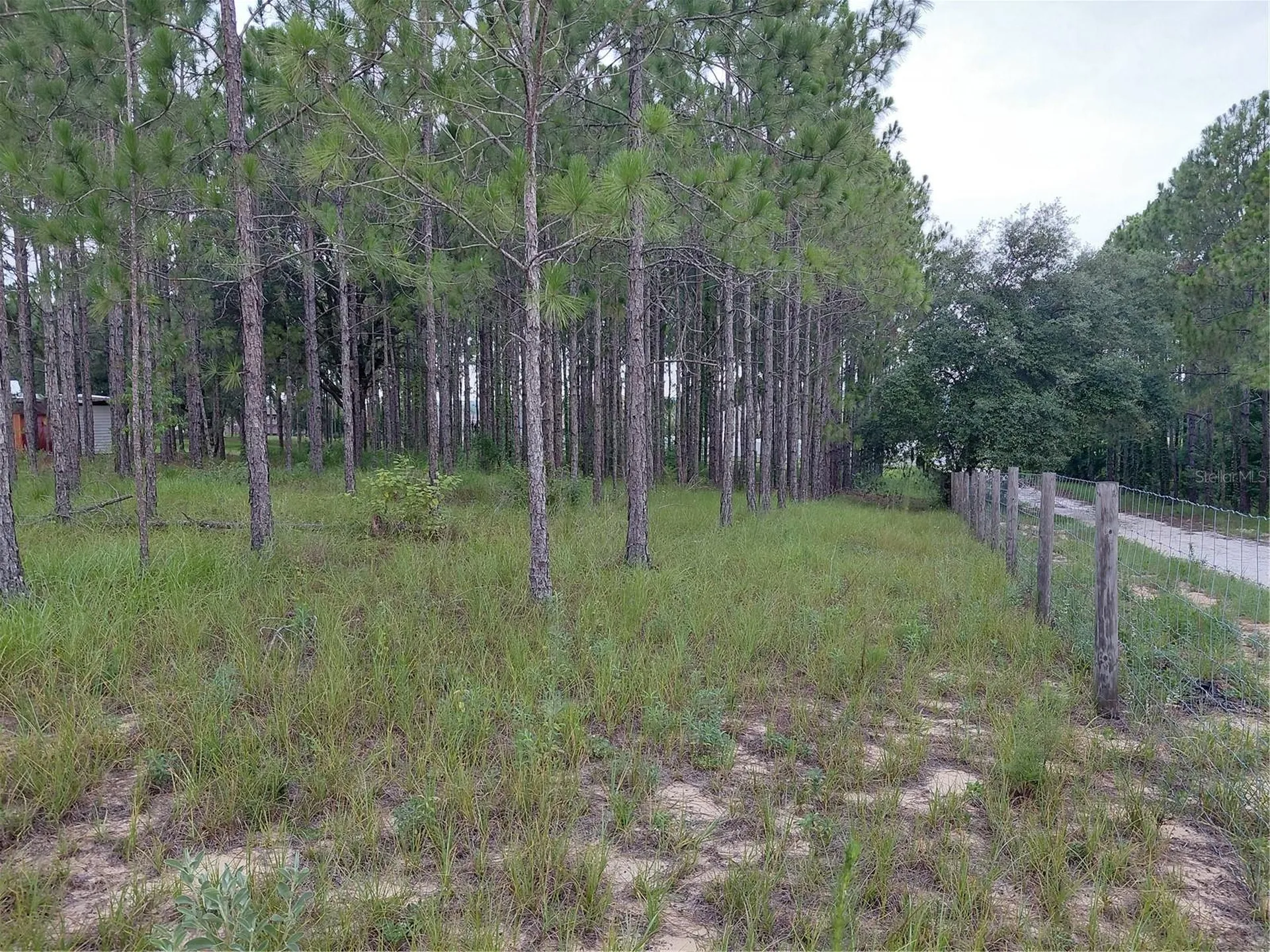 14240 Lost Lake Road Clermont FL 34711