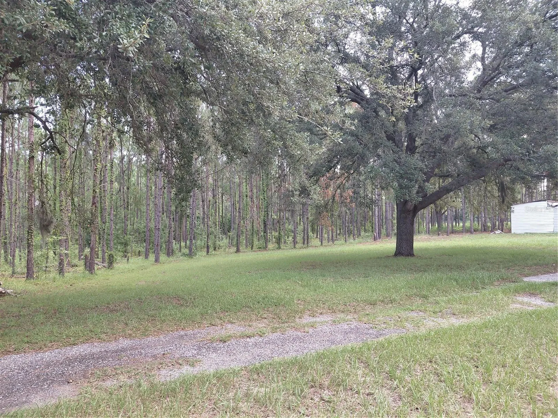 14240 Lost Lake Road Clermont FL 34711