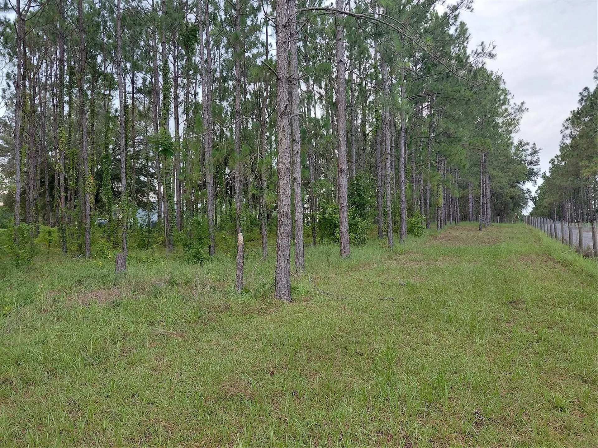 14240 Lost Lake Road Clermont FL 34711