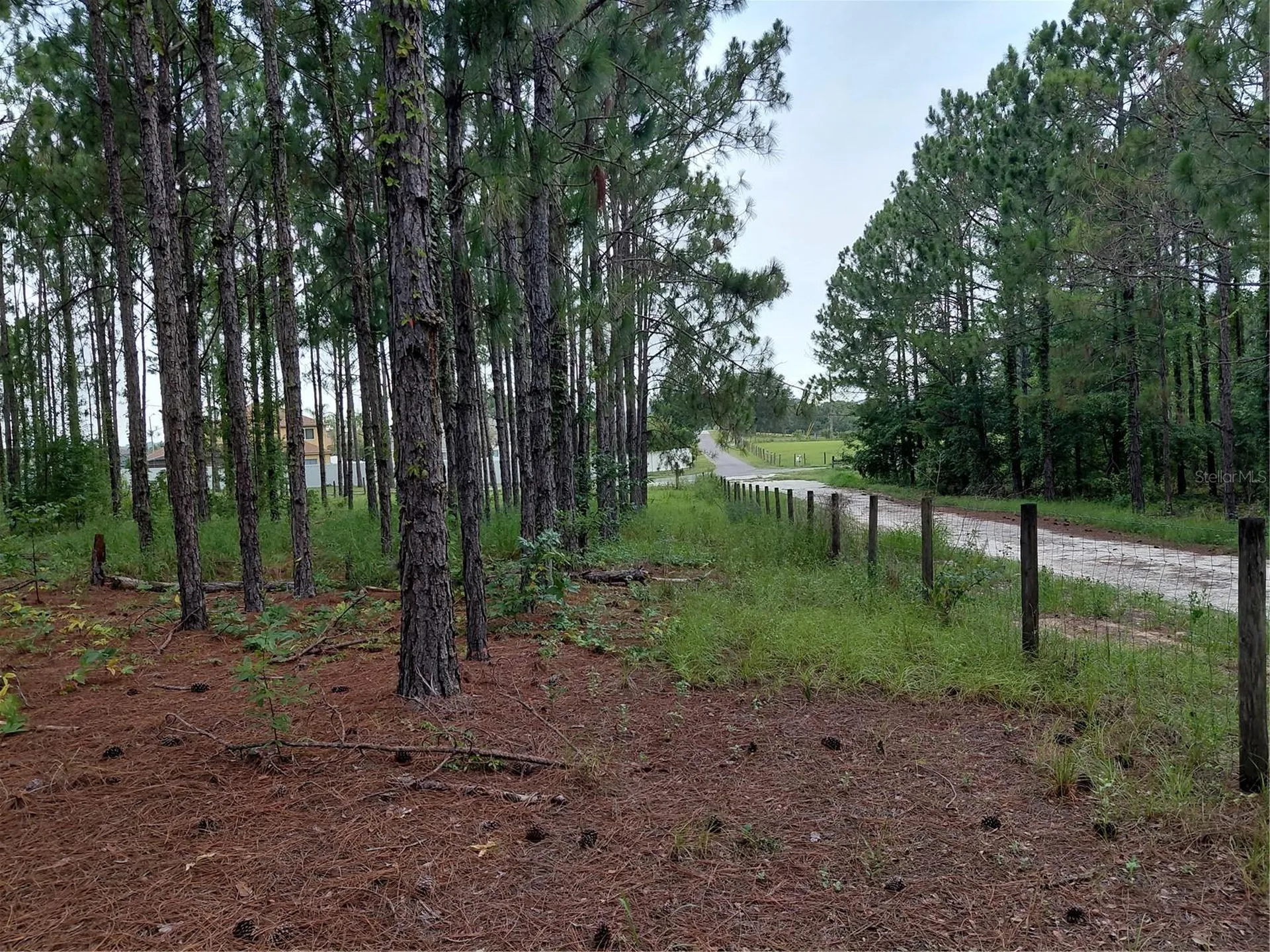 14240 Lost Lake Road Clermont FL 34711
