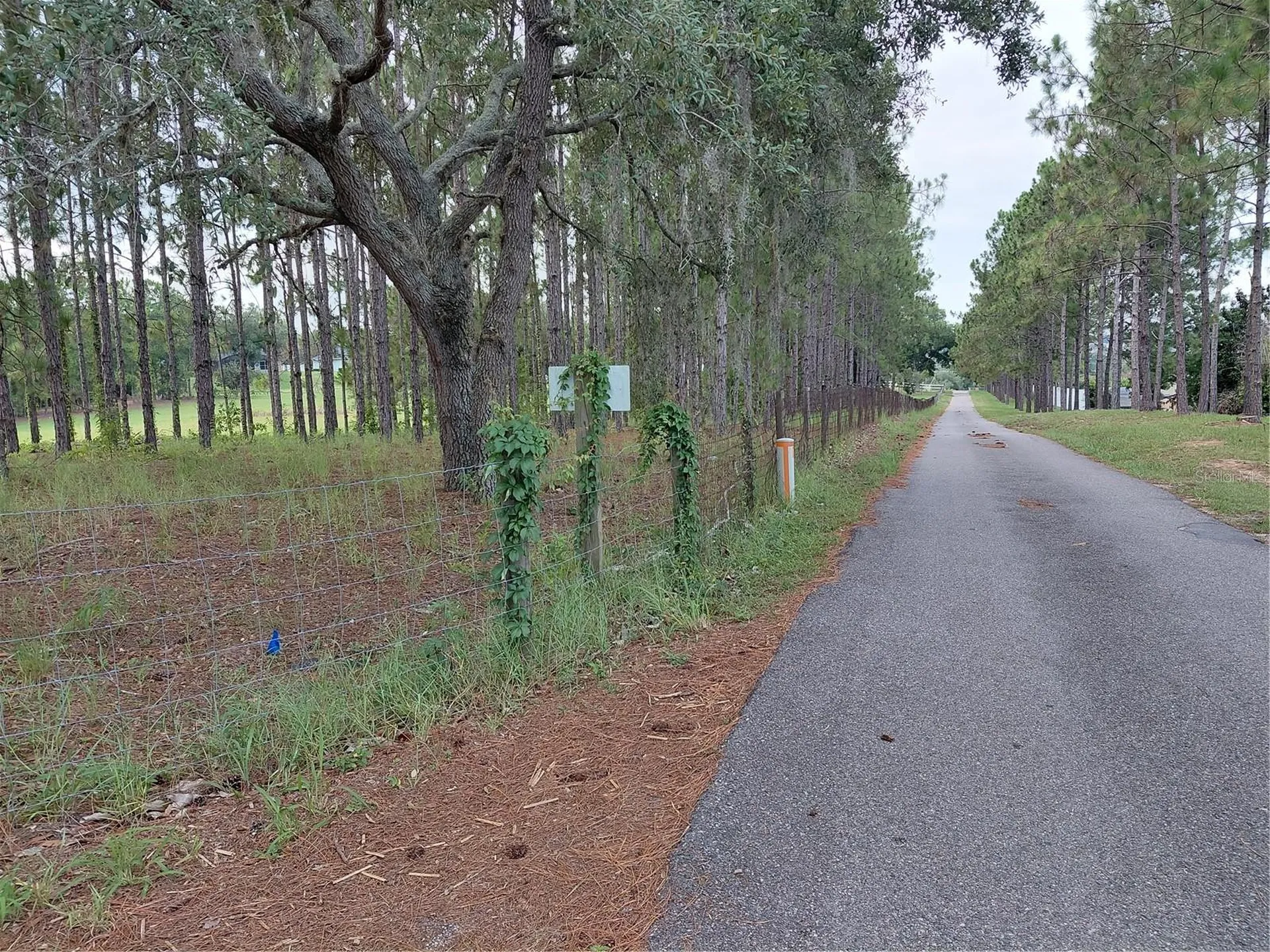 14240 Lost Lake Road Clermont FL 34711