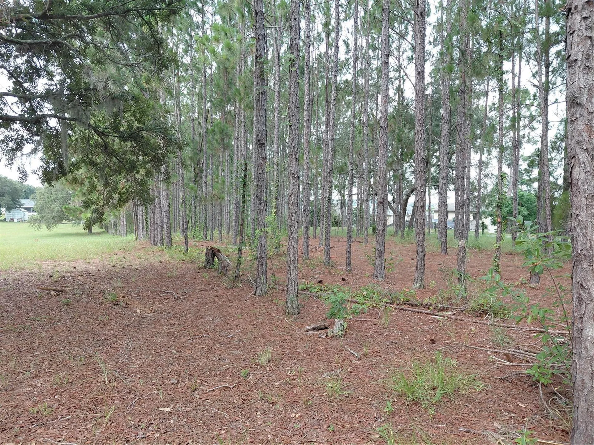 14240 Lost Lake Road Clermont FL 34711