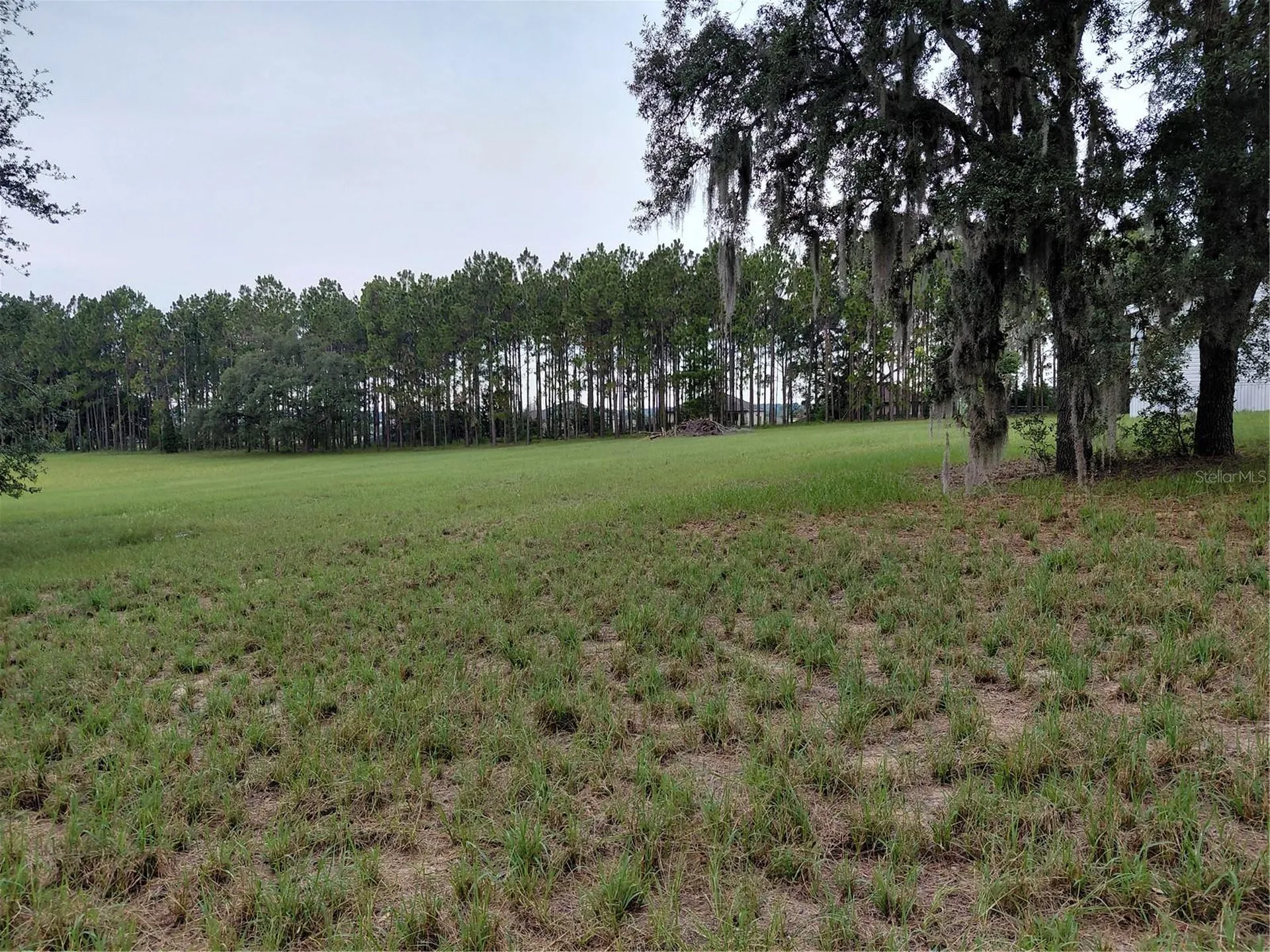 14240 Lost Lake Road Clermont FL 34711