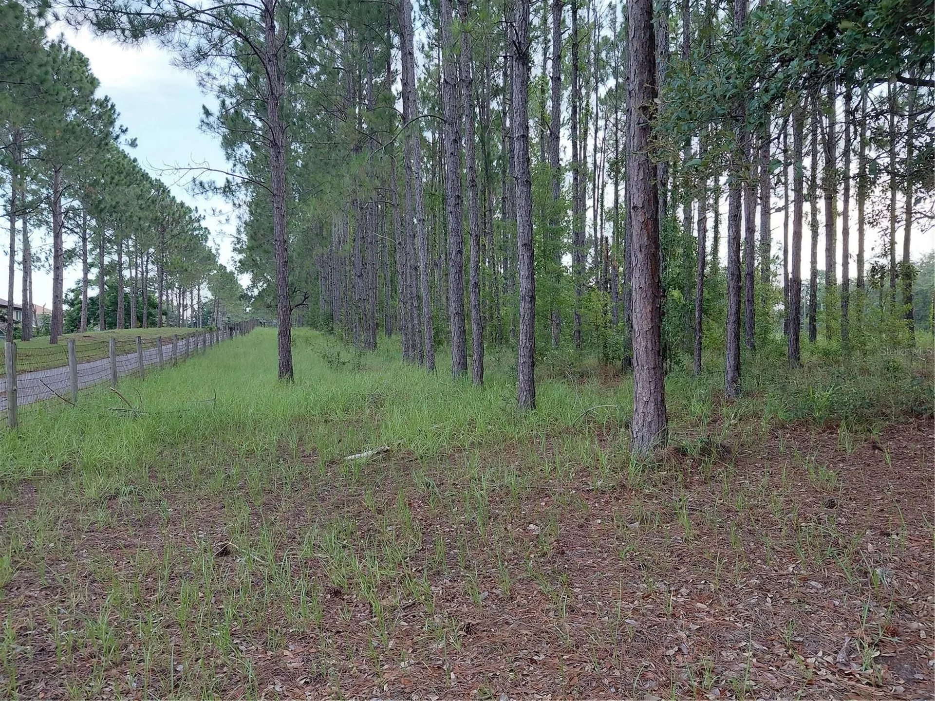 14240 Lost Lake Road Clermont FL 34711