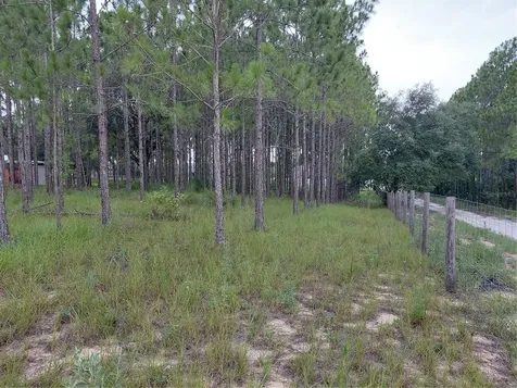 14240 Lost Lake Road Clermont FL 34711