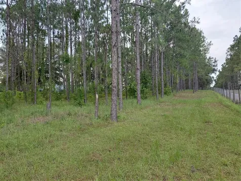 14240 Lost Lake Road Clermont FL 34711