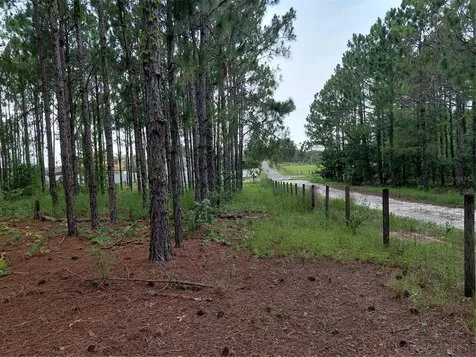 14240 Lost Lake Road Clermont FL 34711
