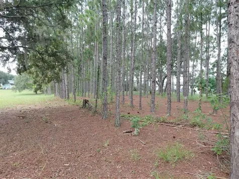 14240 Lost Lake Road Clermont FL 34711