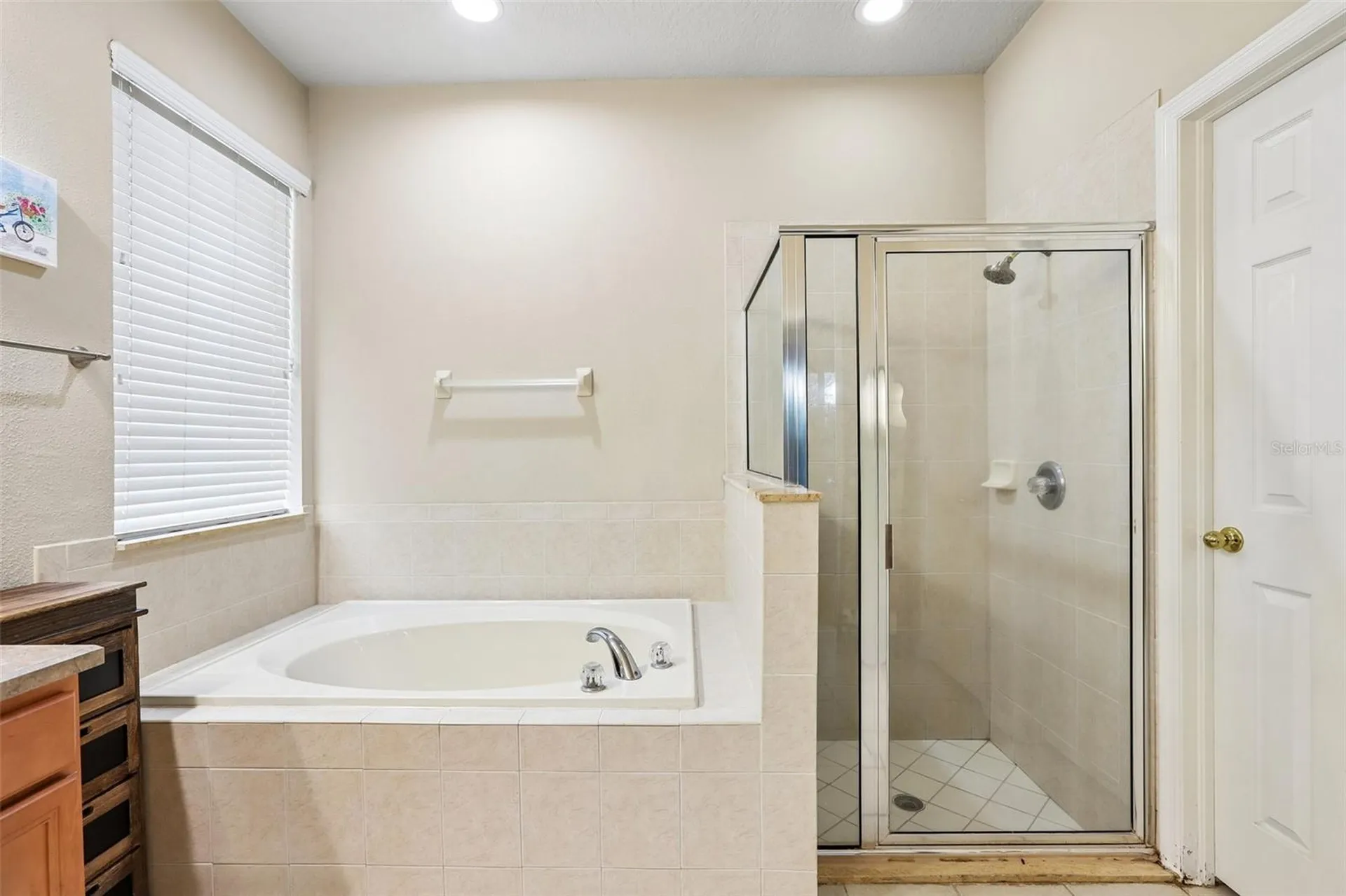 12517 Safari Lane Riverview FL 33569