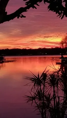 236 S Shadowbay Boulevard Longwood FL 32779