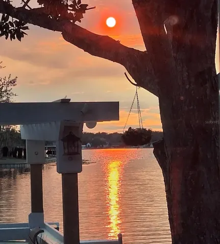236 S Shadowbay Boulevard Longwood FL 32779