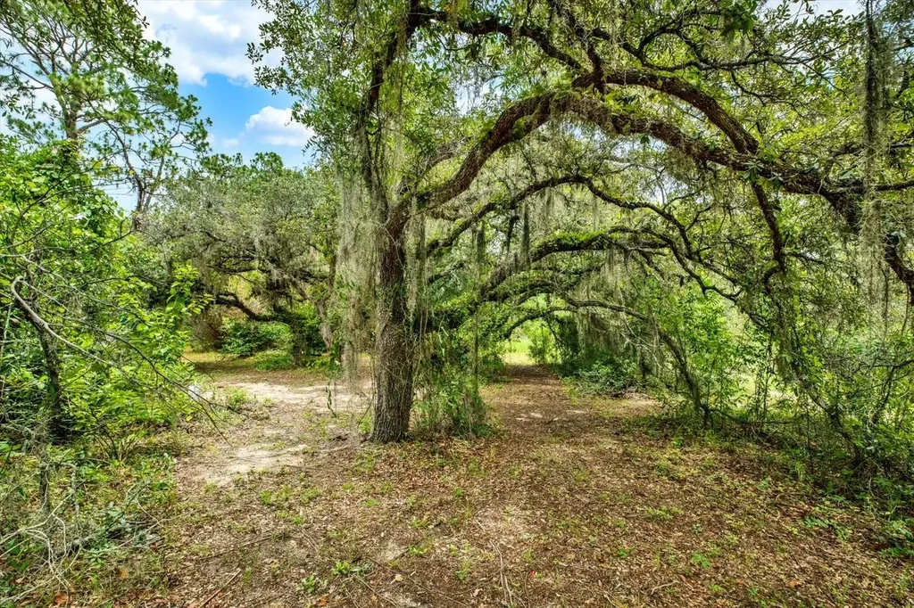 11251 Salina Street Brooksville FL 34614
