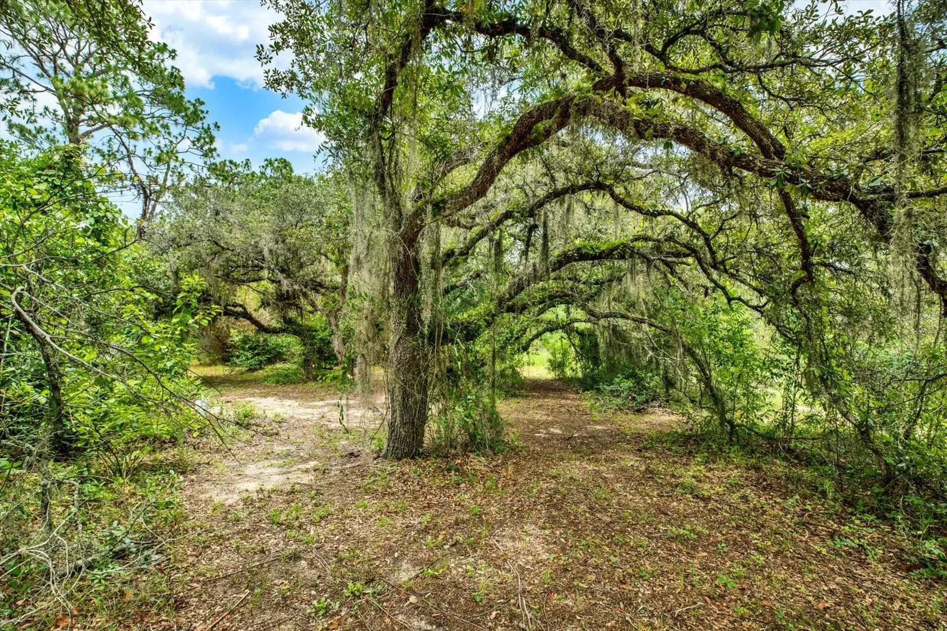 11251 Salina Street Brooksville FL 34614