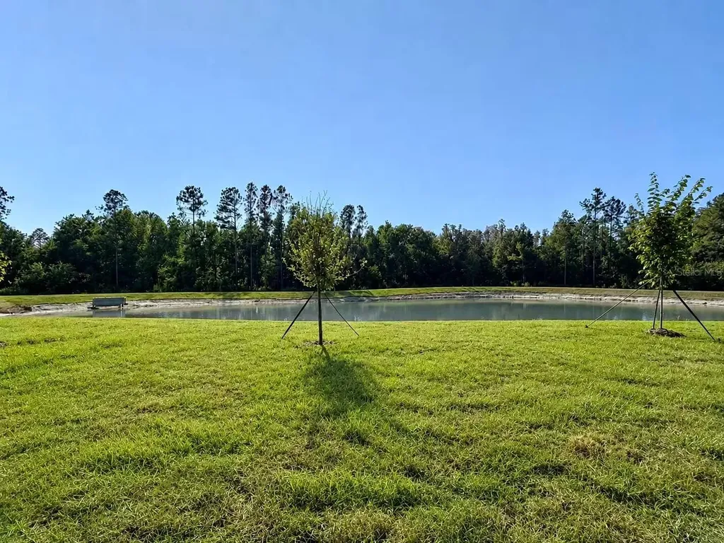 1307 Broward Drive Zephyrhills FL 33541