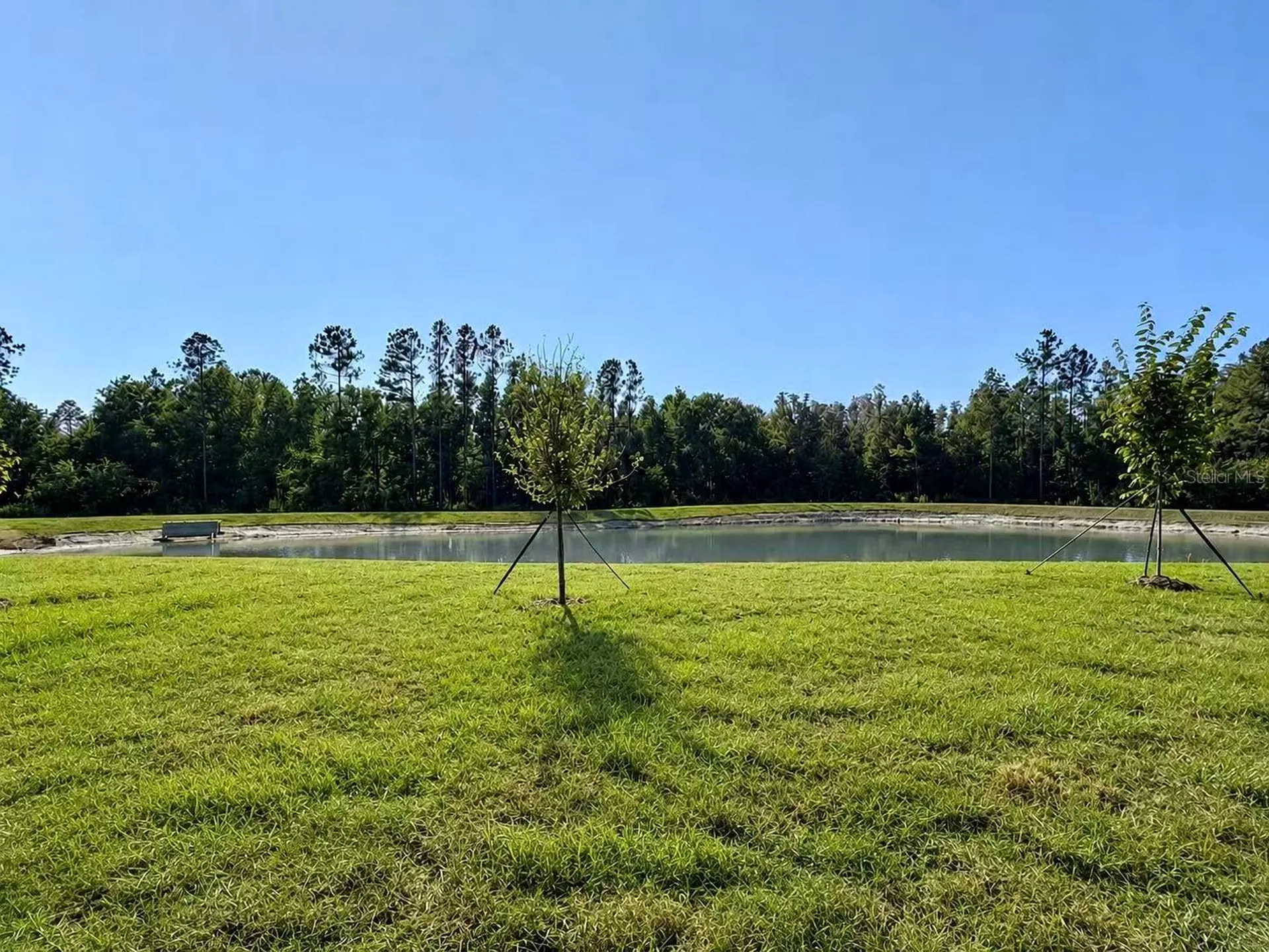 1307 Broward Drive Zephyrhills FL 33541