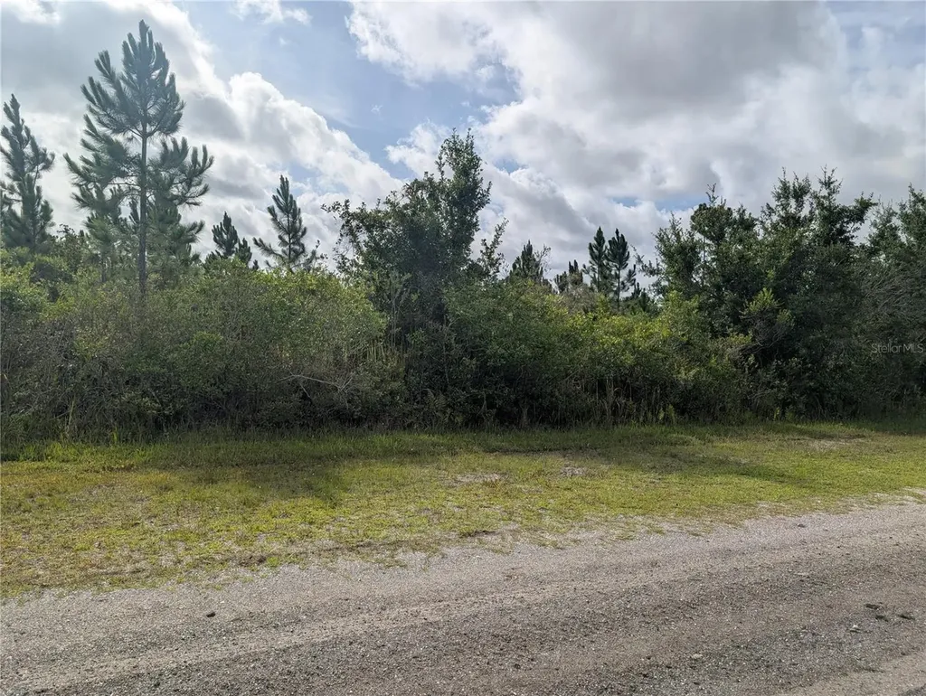 523 Belmonte Drive Indian Lake Estates FL 33855