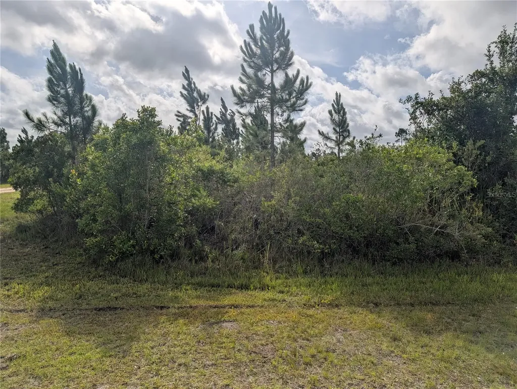 523 Belmonte Drive Indian Lake Estates FL 33855
