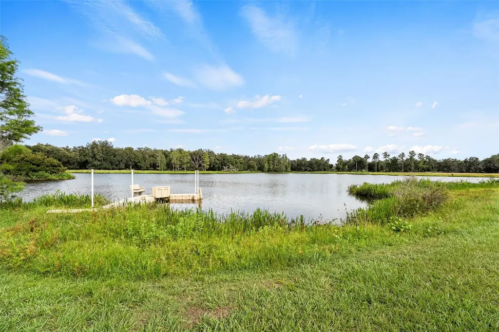 33415 Kiefer Road Wesley Chapel FL 33545