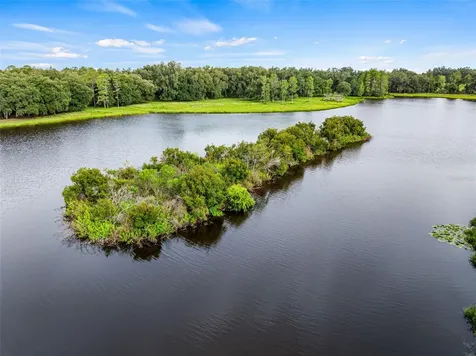 33415 Kiefer Road Wesley Chapel FL 33545