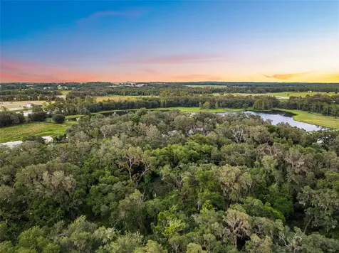 33415 Kiefer Road Wesley Chapel FL 33545