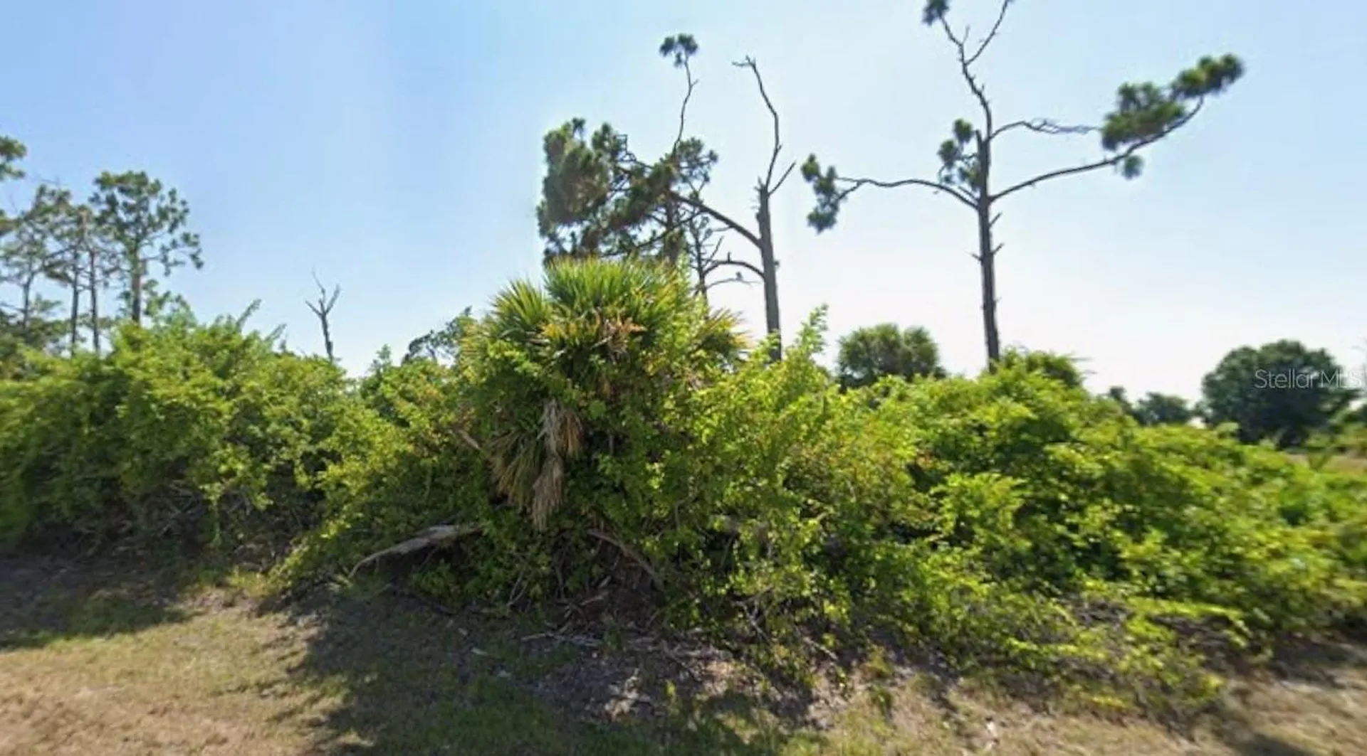 145 Green Pine Park Rotonda West FL 33947