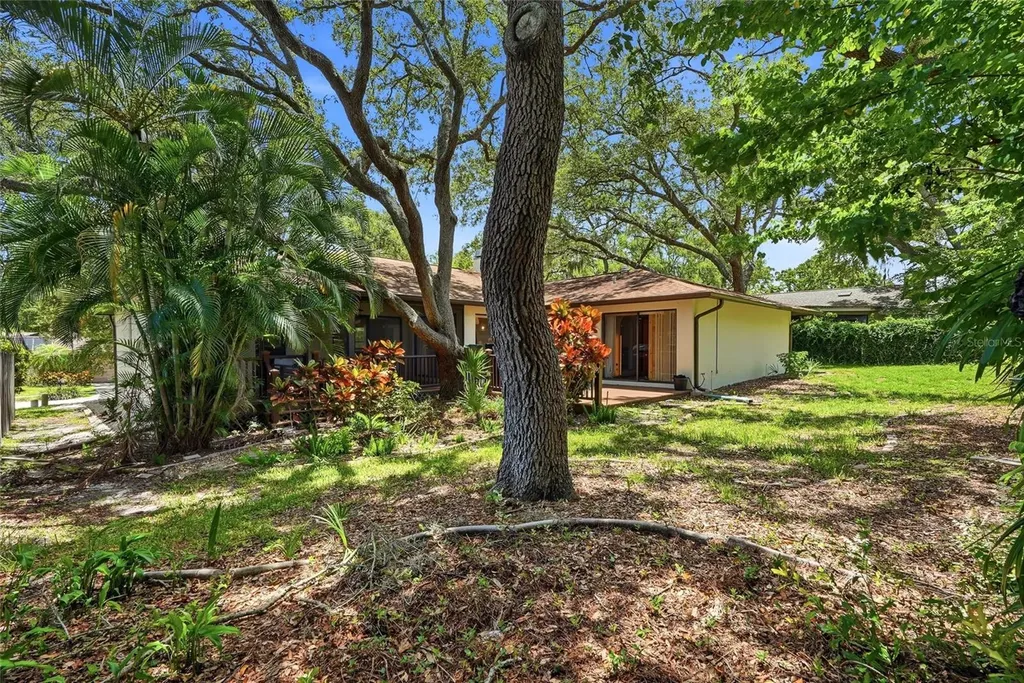 8 Clearview Drive Safety Harbor FL 34695