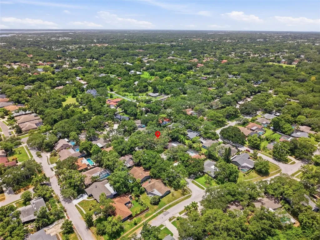 8 Clearview Drive Safety Harbor FL 34695
