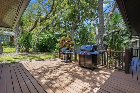 8 Clearview Drive Safety Harbor FL 34695