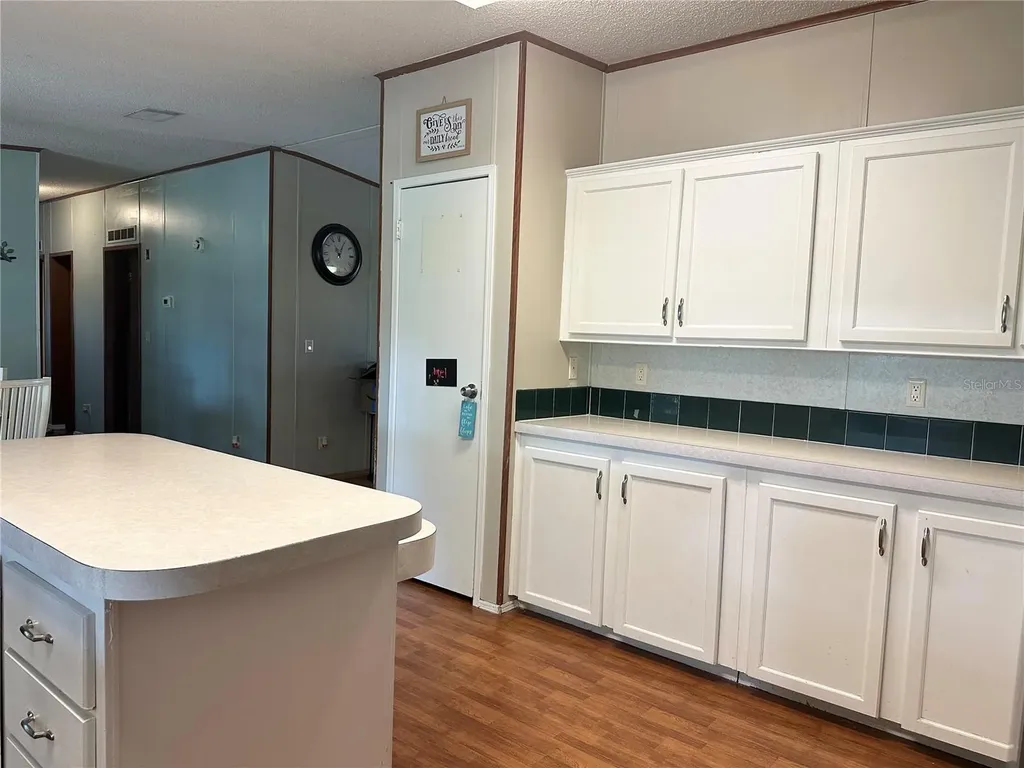 8528 Avon Lady Place Plant City FL 33567