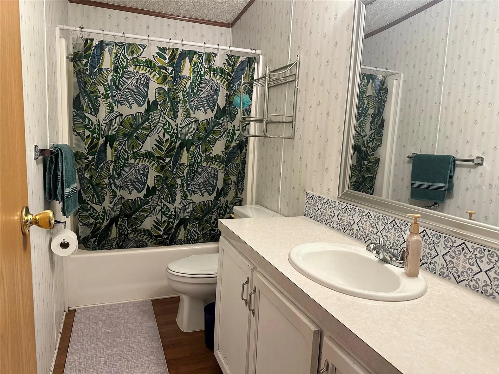 8528 Avon Lady Place Plant City FL 33567