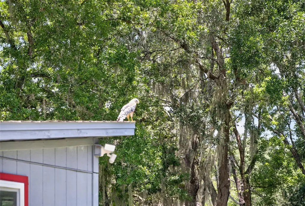 1043 Lakeside Drive Apopka FL 32712