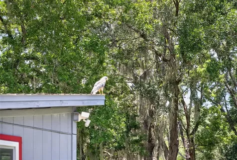 1043 Lakeside Drive Apopka FL 32712