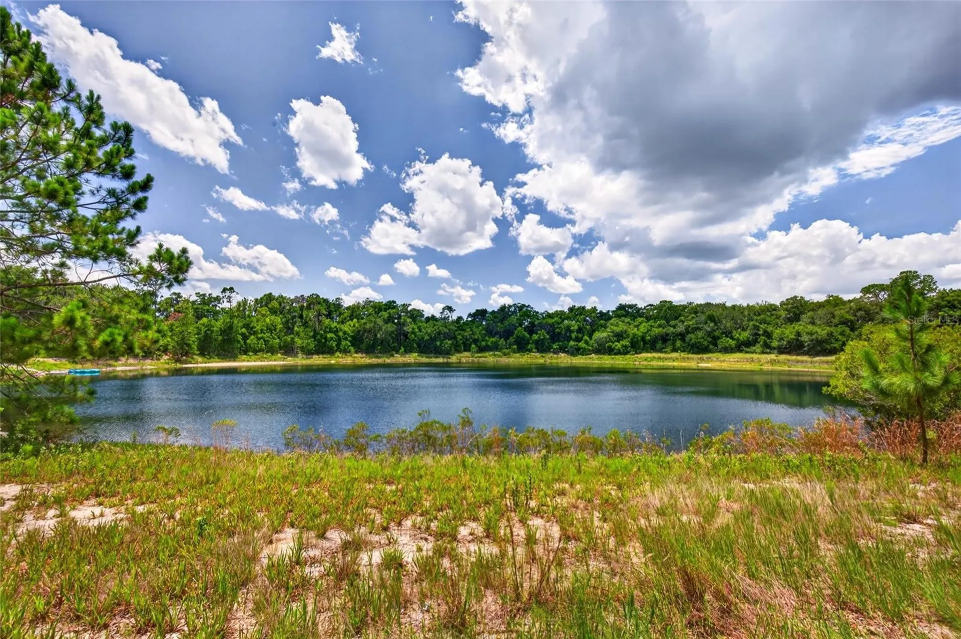 Malauka Loop Ocklawaha FL 32179